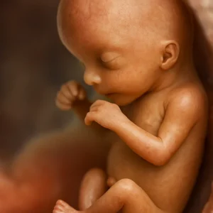 Bebê 10 semanas